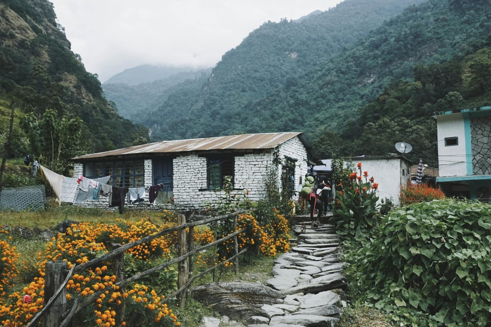 Himal Nomad Hub – Digital Nomad Coworking Space, Nepal coworking space in Pokhara, Nepal 1