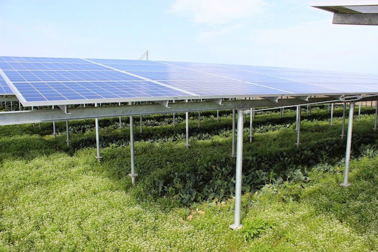 国府花園薬草倶楽部 LLP法人 coworking space in Tokushima, Japan 1