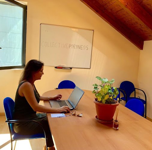 Collective Pirineos coworking space in Fiscal, Spain 1