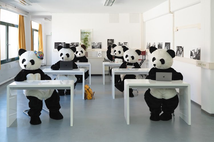Lucky Panda Studios coworking space in Würzburg, Germany 1