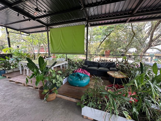 Green House Work & Chill Coworking - Eventos coworking space in Cali, Colombia 1