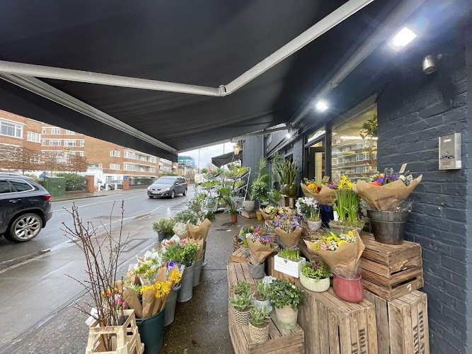 Putney Florist coworking space in London, United Kingdom of Great Britain and Northern Ireland 1