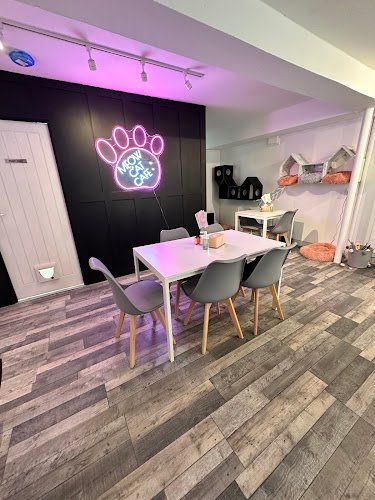 Meow Cat Cafe coworking space in Halstead, United Kingdom of Great Britain and Northern Ireland 1