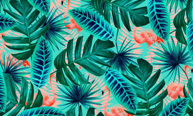 Flamingo Coworking coworking space in Santa Marta, Colombia 1