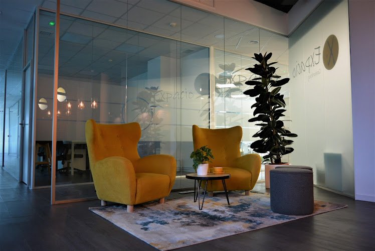 Expacio Coworking coworking space in Las Rozas de Madrid, Spain 1