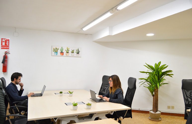 Coworking Valencia en Primado Reig | Mundo Sostenible coworking space in Valencia, Spain 1