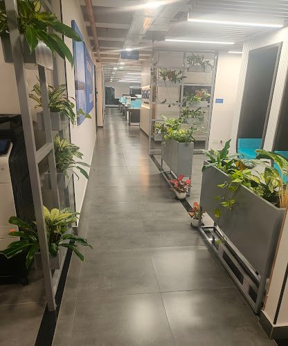 Fluence Global Innovation Center (Fluence BESS India Pvt. Ltd) coworking space in Bengaluru, India 1